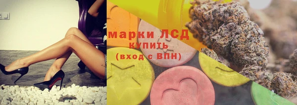 индика Богданович