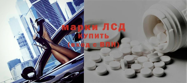 индика Богданович