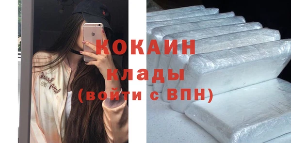 МДПВ Богородск