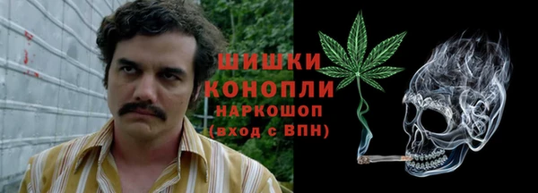 индика Богданович