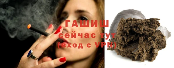 индика Богданович