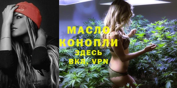дживик Богородицк