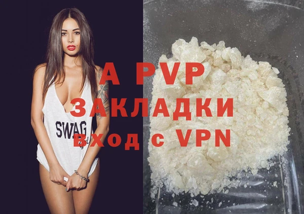 индика Богданович