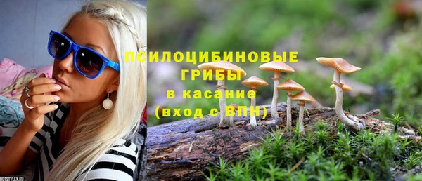 дживик Богородицк
