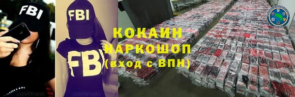индика Богданович