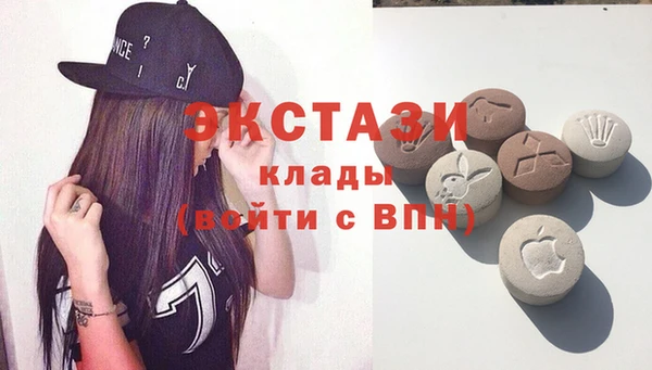 дживик Богородицк