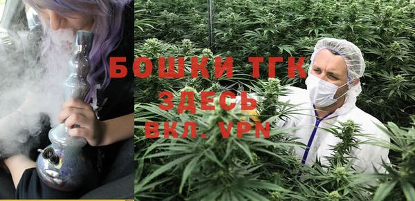 МДПВ Богородск