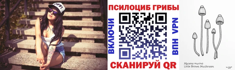 наркота  Курган  Псилоцибиновые грибы Cubensis 